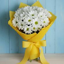 Букет цветов из:  Хризантемы в Прогресс