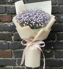 Букет цветов из:  Гипсофила в Прогресс