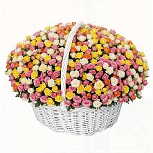 Премиум букет из: Розы в Прогресс