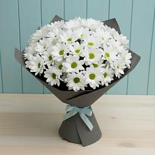 Букет цветов из:  Хризантемы в Прогресс