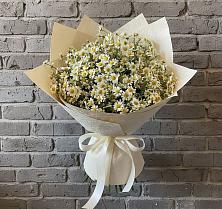 Букет цветов из:  Ромашки #REPLACE_PRED# Прогресс