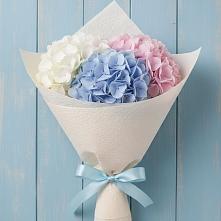 Букет цветов из:  Гортензия в Прогресс