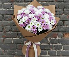 Букет цветов из:  Хризантемы в Прогресс