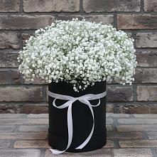 Цветочная композиция из Гипсофила в шляпной коробке в Прогресс