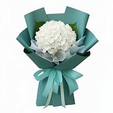 Букет цветов из:  Гортензия в Прогресс